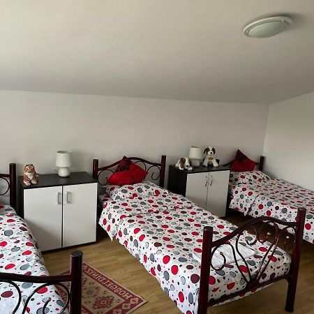 Vila Ekooos Braşov Dış mekan fotoğraf