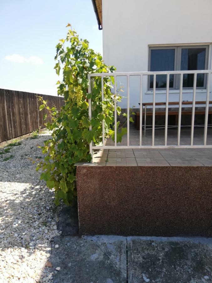 Vila Ekooos Braşov Dış mekan fotoğraf