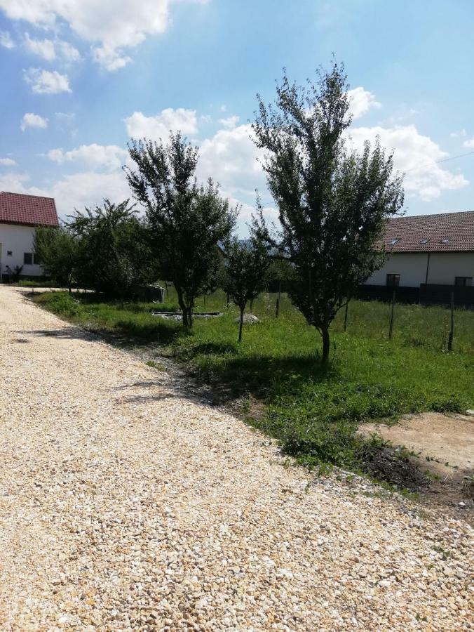 Vila Ekooos Braşov Dış mekan fotoğraf